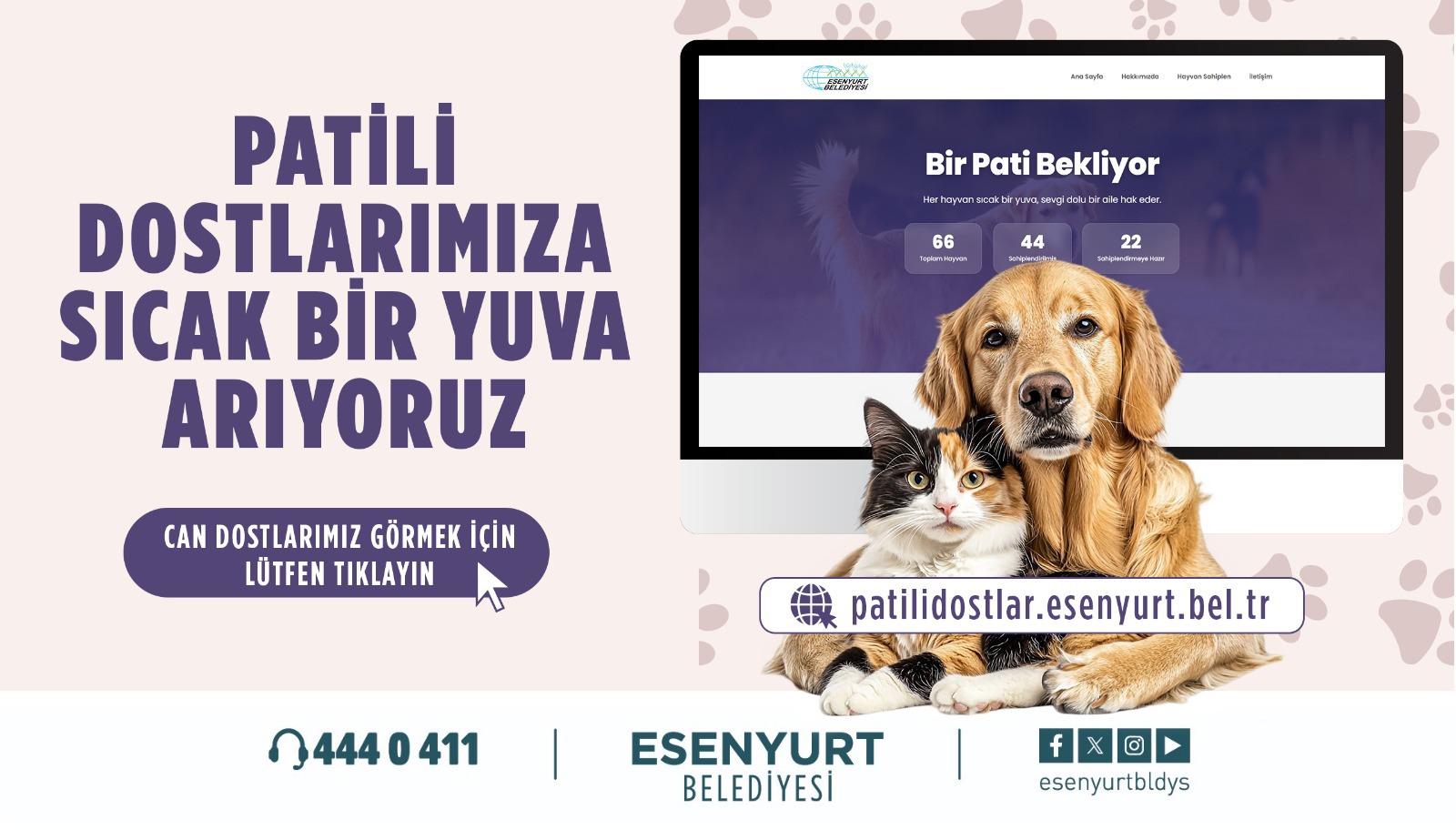 Patili Dostlarımıza Sıcak Bir Yuva Arıyoruz.