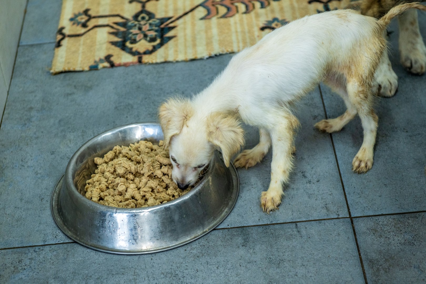 Esenyurt Belediyesi’nden İsrafı Önleyen Örnek Uygulama